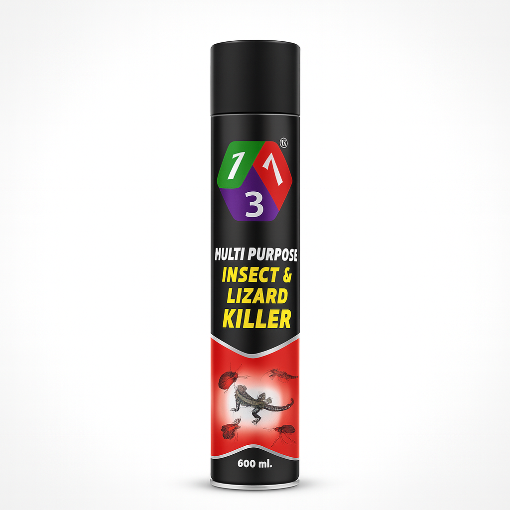 123 multi purpose insect & lizard killer 600ml on ammas super mart